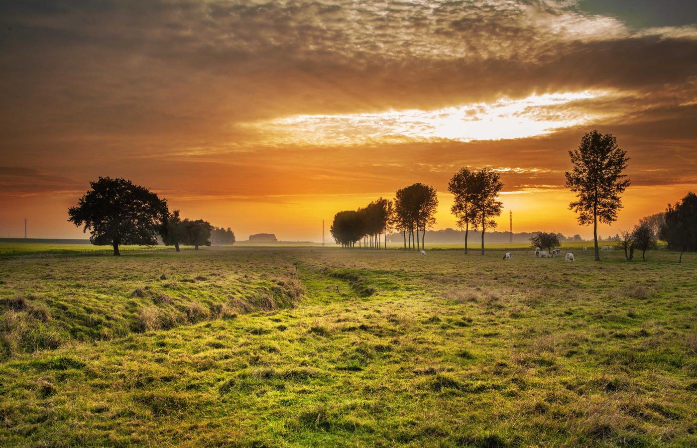 Динара Сапарова