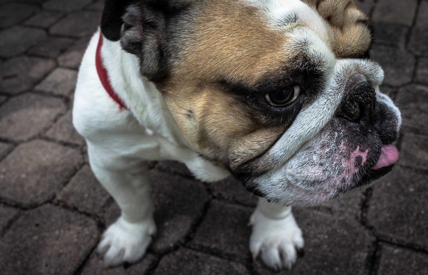 Ай сайынғы тазалау